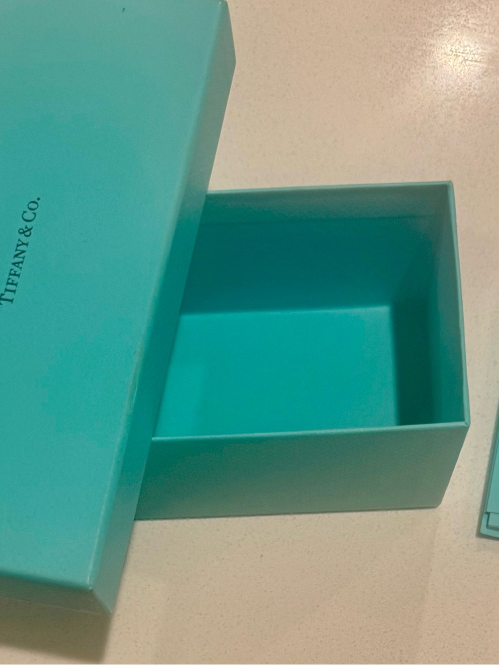 Tiffany & Co. Robin's Egg Blue Accessory Box